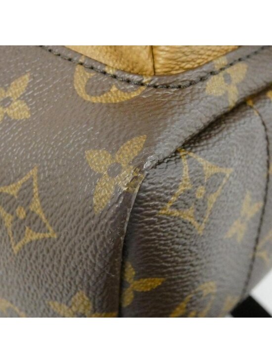 Louis Vuitton Monogram Reverse Palm Springs Backpack PM main image 5